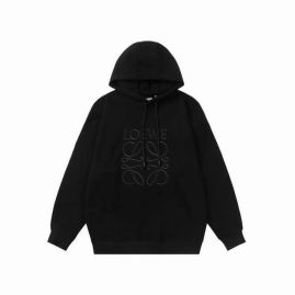 Picture of Loewe Hoodies _SKULoeweXS-L25ctn2311013